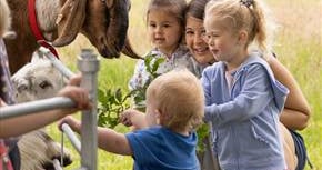 Wellies at the ready for Open Farm Sunday!
