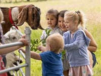 Wellies at the ready for Open Farm Sunday!