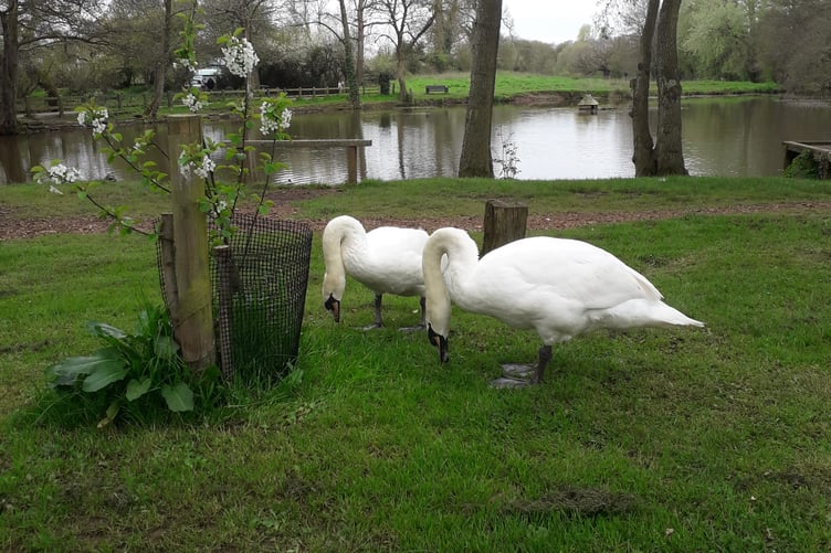 People engaging in 'destructive behaviours' have been warned of consequences by the council