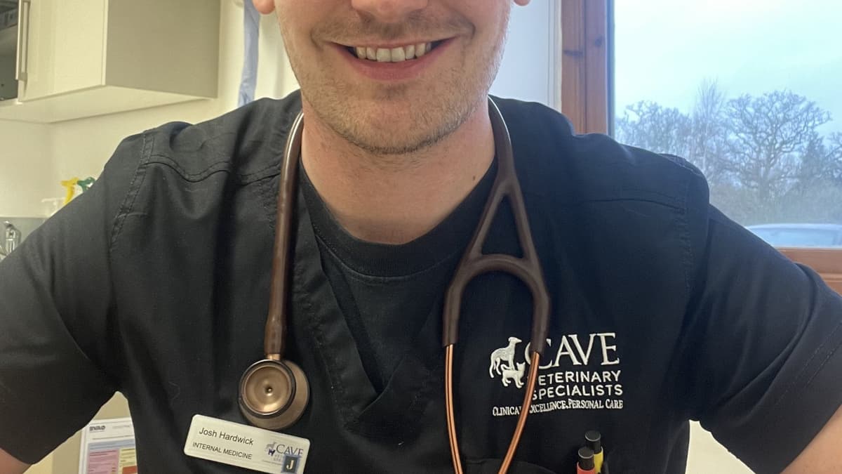 Wellington vet Josh joins elite in his field wellingtontoday.co.uk