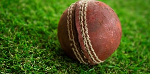 Cricket club apply to have live music on a Friday and Saturday