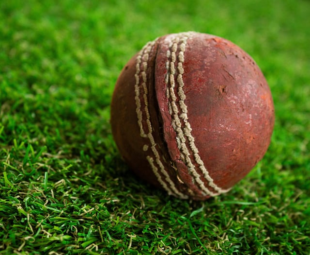 Cricket club apply to have live music on a Friday and Saturday