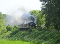 Steam locomotive delights rail enthusiasts
