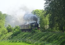 Steam locomotive delights rail enthusiasts