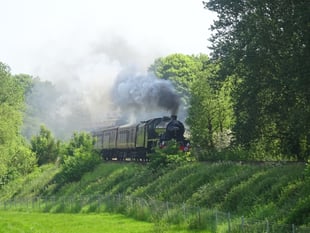 Steam locomotive delights rail enthusiasts