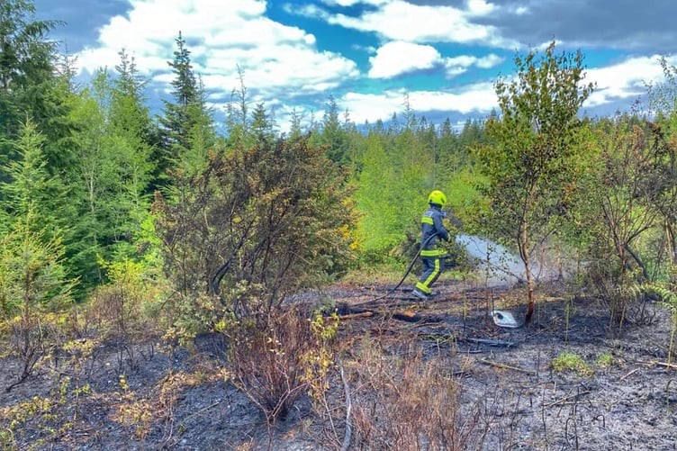 The fire brigade has issued wildfire advice as the dryer weather aggravates the flame threat