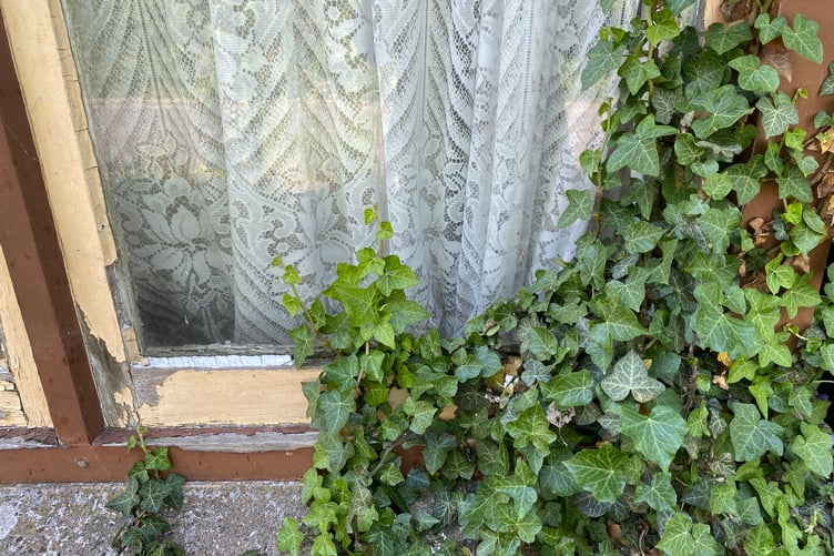 Vegetation was seen sprawled across parts of the frontage, with the window frames looking degraded