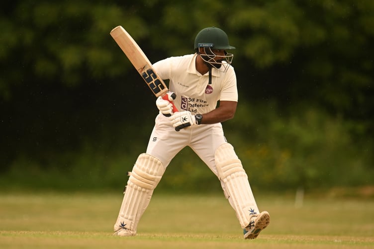 Cricket