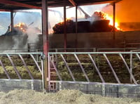 Busy few days for Wellington fire fighters 