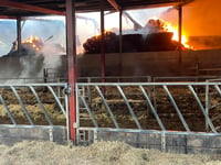 Busy few days for Wellington fire fighters 