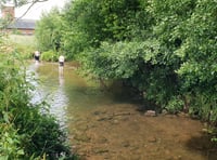 Conservation group to host week long waterways celebration