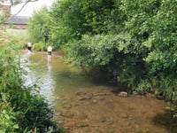 Conservation group to host week long waterways celebration