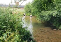 Wellington conservation group to host week-long waterways celebration