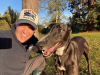 Full recovery for greyhound paralysed in freak accident