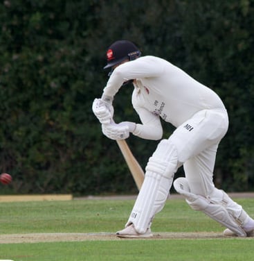 Cricket