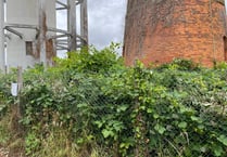 Weeds could threaten Rockwell Green towers again