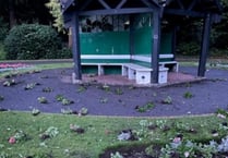 Vandals strike at Wellington park