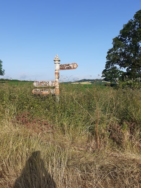 Ms Mills said the signs in Sampford Moor are an embarrassment