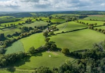 Secluded farm put up for sale