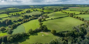 Secluded farm put up for sale