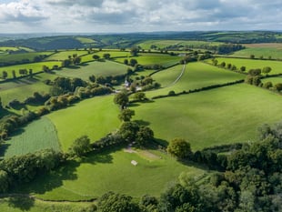 Secluded farm put up for sale