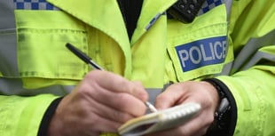 Woman attacked driver and spat at emergency workers