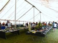 Wivey Show returns for 109th year
