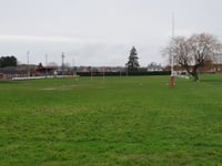 Compromise pitch plan gets green light