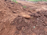 WW2 bomb exploded at college