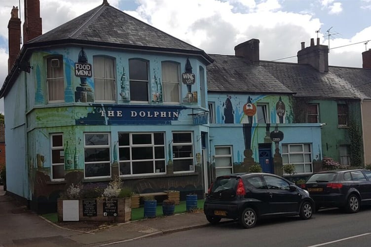 the dolphin