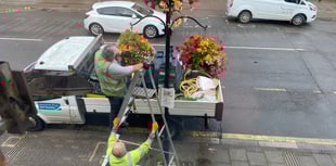 Weeds rooted out of town centre hanging baskets