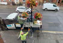 Weeds rooted out of town centre hanging baskets