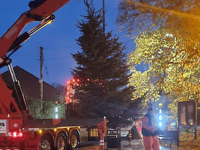 Christians step in to save Christmas tree