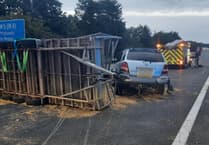 More traffic chaos ahead of Wellington Carnival as livestock trailer overturns on M5