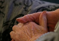 Vulnerable person in Somerset waited more than eight years for carer to be allowed to make decisions for them