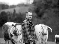 Artists, events and music to descend on Wiveliscombe for festival 