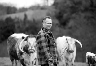 Artists, events and music to descend on Wiveliscombe for festival 