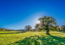 Heat alert across Wellington and West Somerset