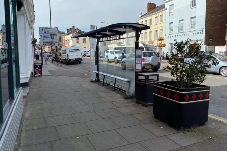 A Wellington woman has expressed her relief after finding her lost and treasured ruby ring