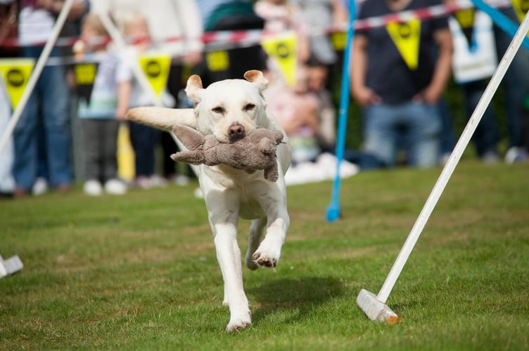 The popular family event has come around again