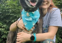 Local vet's walk for cancer charity