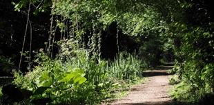 Canal heritage group needs more friends