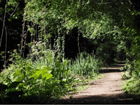 Canal heritage group needs more friends