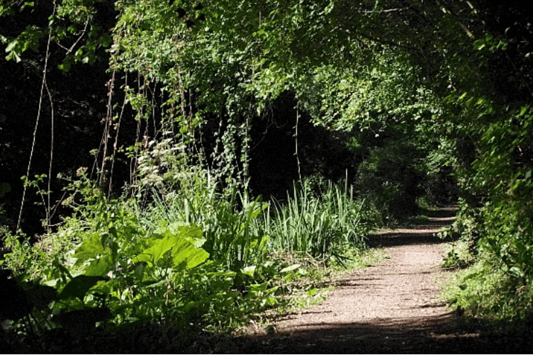 Part of an existing Grand Western Canal walkway.