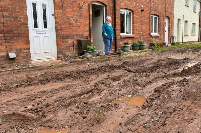 Ms Mason managed to avoid the worst of the floods after water which ingress her home fell short of reaching her carpets - but has since become trapped by mud