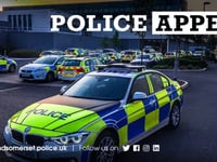 Police appeal after driver leaves scene of collision near Wellington
