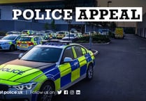Police appeal after driver leaves scene of collision near Wellington