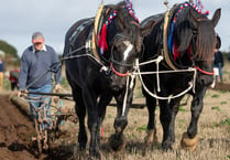 Ploughmen prepare to descend on small village for national contest