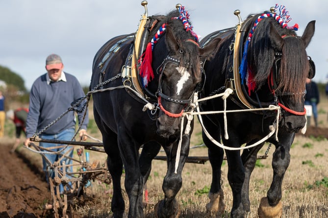 Martin Kerswell, pictured, will be joining competitors from across the county in 2023's national ploughing contest
