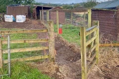 Wiveliscombe's Kingsmead School needs help to revamp its farm.